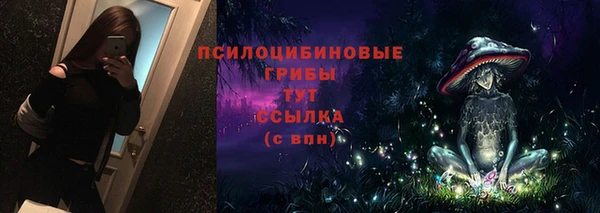 ГАЛЛЮЦИНОГЕННЫЕ ГРИБЫ Ладушкин
