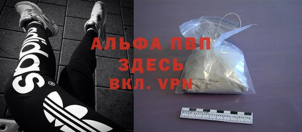 ГАЛЛЮЦИНОГЕННЫЕ ГРИБЫ Ладушкин