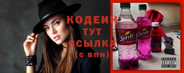 ГАЛЛЮЦИНОГЕННЫЕ ГРИБЫ Ладушкин