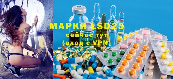 ГАЛЛЮЦИНОГЕННЫЕ ГРИБЫ Ладушкин