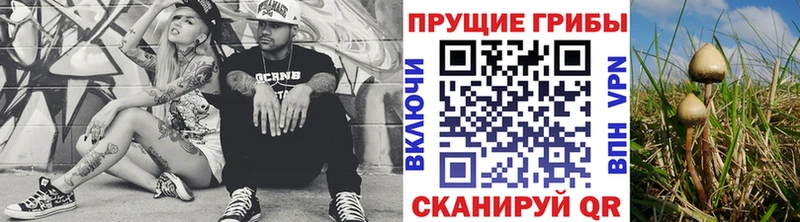 Псилоцибиновые грибы Psilocybe  Купить закладки  Задонск 